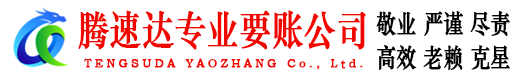 龙泉驿收账公司